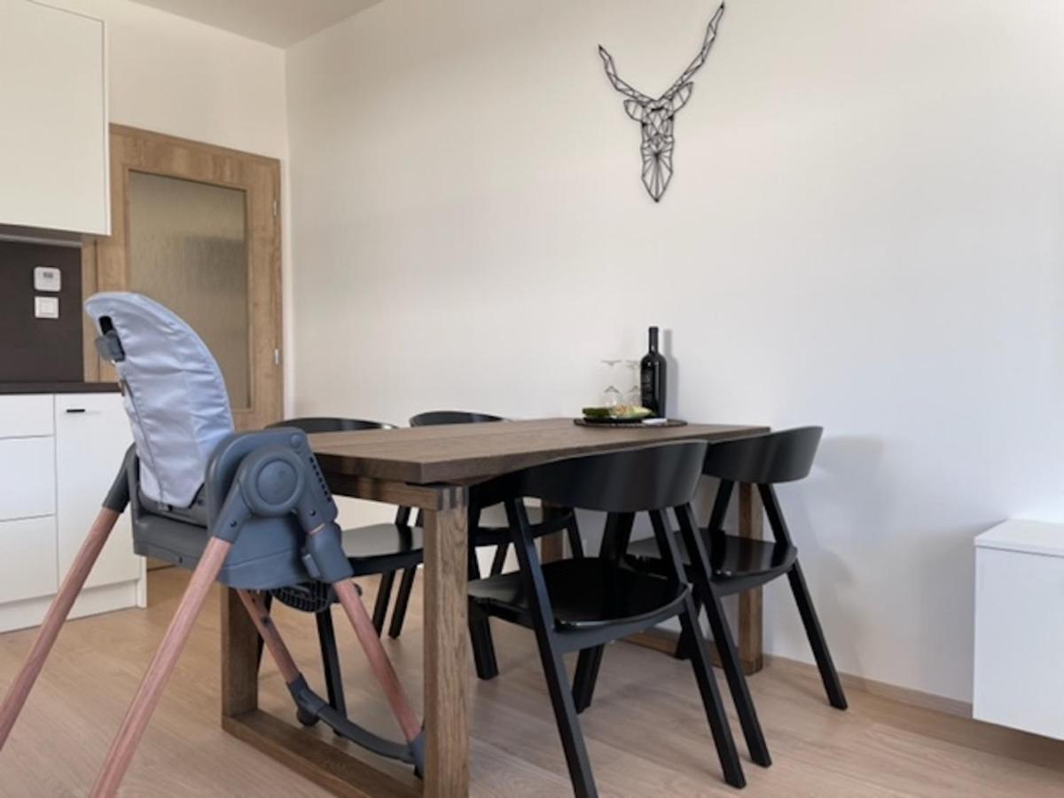 Klinovec Apartments Luxury Loučná pod Klínovcem Dış mekan fotoğraf