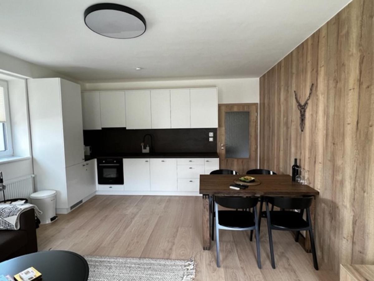 Klinovec Apartments Luxury Loučná pod Klínovcem Dış mekan fotoğraf