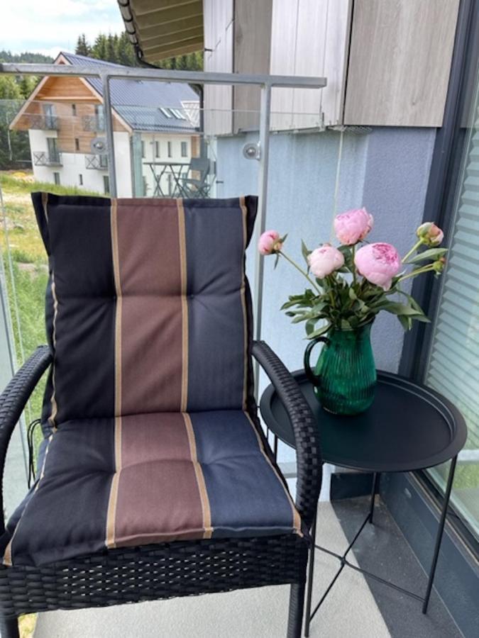 Klinovec Apartments Luxury Loučná pod Klínovcem Dış mekan fotoğraf